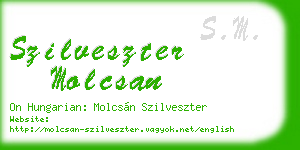 szilveszter molcsan business card