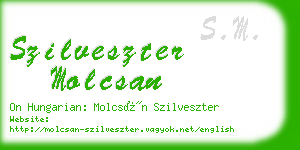 szilveszter molcsan business card